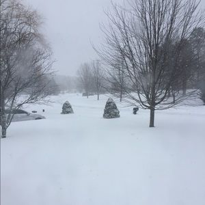 Meet your Posher, Evan